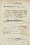 Riproduzione riservata