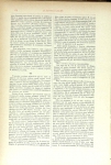 Riproduzione riservata