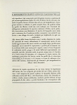 Riproduzione riservata