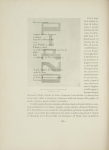 Riproduzione riservata