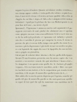Riproduzione riservata