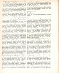Riproduzione riservata