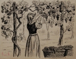 Riproduzione riservata Salani