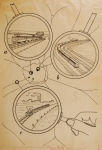 Riproduzione riservata Salani