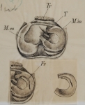 Riproduzione riservata Salani