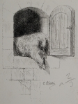 Riproduzione riservata Salani
