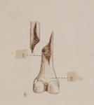 Riproduzione riservata Salani