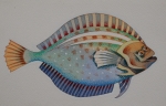 Riproduzione riservata Salani